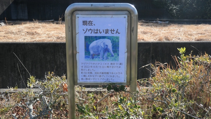 動物園 (6)
