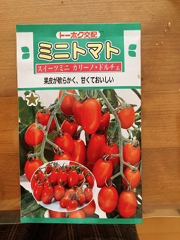 24プチトマト